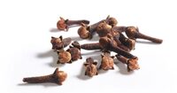 CLOVES