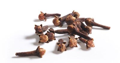 CLOVES